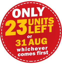 Landing Page Early Bird Promotion V3-08